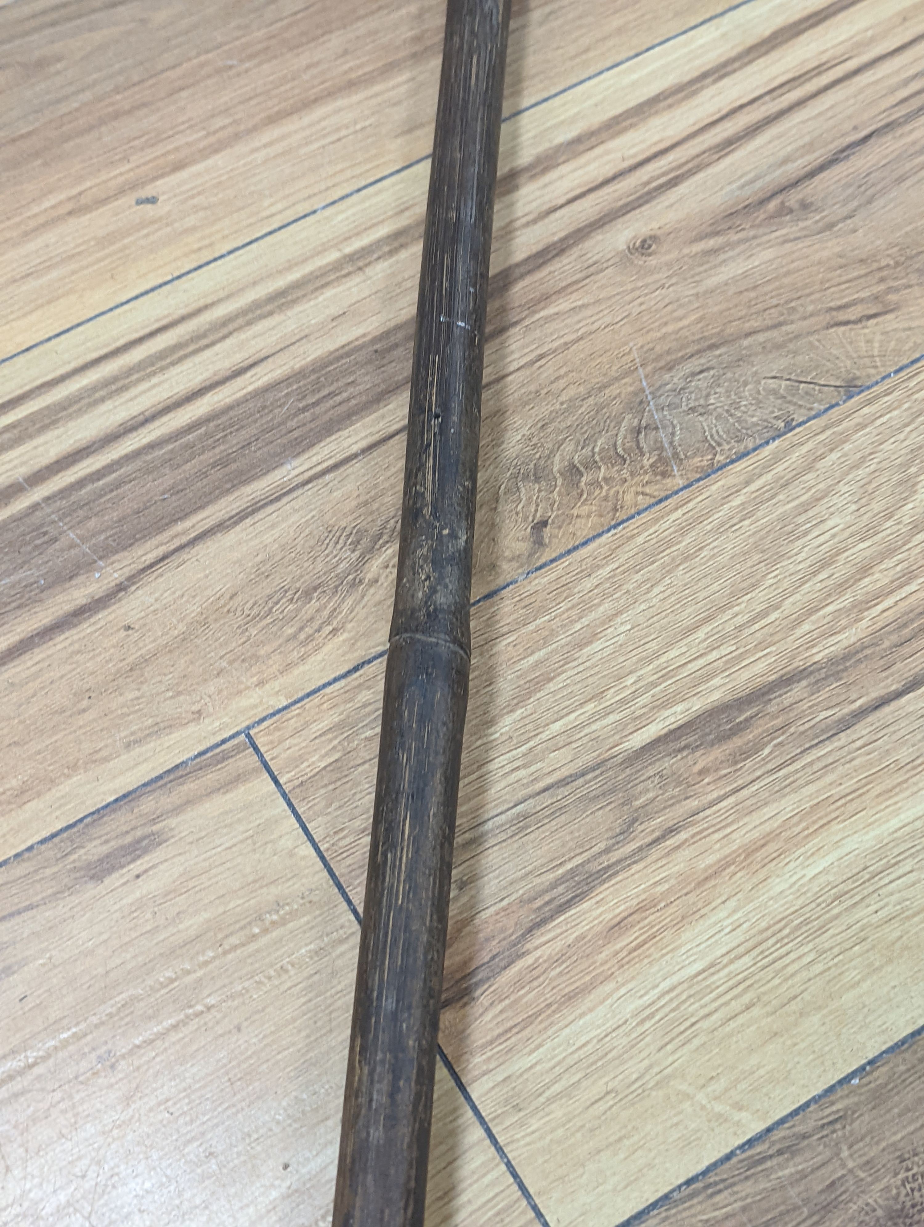Two East Africa, Transvaal (Zululand) spears, 236cm